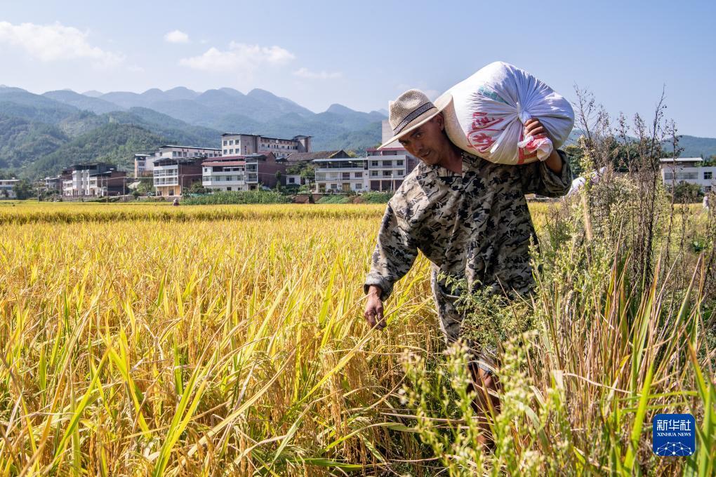 同城游戏五张牌去哪了